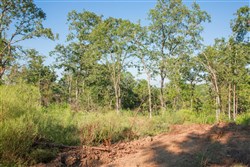 property photo for Stone Creek Phase II Tract 271, 5.75 acres for sale in Latimer County, Oklahoma