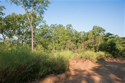 property photo for Stone Creek Phase II Tract 271, 5.75 acres for sale in Latimer County, Oklahoma