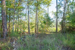 property photo for Stone Creek Phase II Tract 271, 5.75 acres for sale in Latimer County, Oklahoma