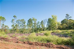 property photo for Stone Creek Phase II Tract 272, 8.14 acres for sale in Latimer County, Oklahoma