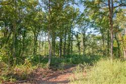 property photo for Stone Creek Phase II Tract 272, 8.14 acres for sale in Latimer County, Oklahoma