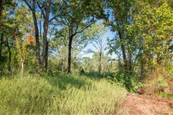 property photo for Stone Creek Phase II Tract 272, 8.14 acres for sale in Latimer County, Oklahoma