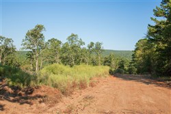 property photo for Stone Creek Phase II Tract 272, 8.14 acres for sale in Latimer County, Oklahoma