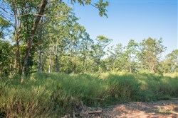property photo for Stone Creek Phase II Tract 272, 8.14 acres for sale in Latimer County, Oklahoma