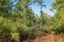 property photo for Stone Creek Phase II Tract 273, 10.68 acres for sale in Latimer County, Oklahoma
