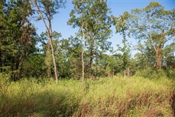 property photo for Stone Creek Phase II Tract 273, 10.68 acres for sale in Latimer County, Oklahoma