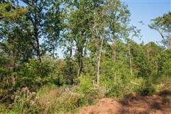 property photo for Stone Creek Phase II Tract 273, 10.68 acres for sale in Latimer County, Oklahoma
