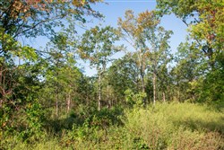 property photo for Stone Creek Phase II Tract 273, 10.68 acres for sale in Latimer County, Oklahoma