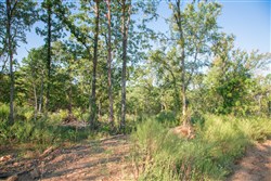 property photo for Stone Creek Phase II Tract 274, 10.31 acres for sale in Latimer County, Oklahoma