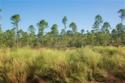 property photo for Stone Creek Phase II Tract 274, 10.31 acres for sale in Latimer County, Oklahoma