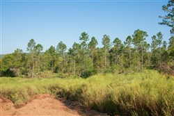 property photo for Stone Creek Phase II Tract 274, 10.31 acres for sale in Latimer County, Oklahoma
