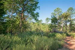 property photo for Stone Creek Phase II Tract 274, 10.31 acres for sale in Latimer County, Oklahoma