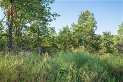 property photo for Stone Creek Phase II Tract 274, 10.31 acres for sale in Latimer County, Oklahoma