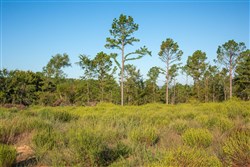 property photo for Stone Creek Phase II Tract 275, 17.13 acres for sale in Latimer County, Oklahoma