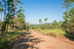 property photo for Stone Creek Phase II Tract 275, 17.13 acres for sale in Latimer County, Oklahoma