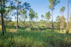 property photo for Stone Creek Phase II Tract 275, 17.13 acres for sale in Latimer County, Oklahoma