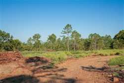 property photo for Stone Creek Phase II Tract 275, 17.13 acres for sale in Latimer County, Oklahoma