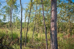 property photo for Stone Creek Phase II Tract 275, 17.13 acres for sale in Latimer County, Oklahoma