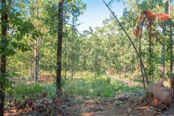 property photo for Stone Creek Phase II Tract 276, 27.74 acres for sale in Latimer County, Oklahoma