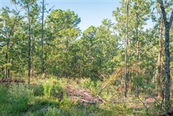 property photo for Stone Creek Phase II Tract 276, 27.74 acres for sale in Latimer County, Oklahoma
