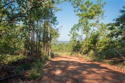 property photo for Stone Creek Phase II Tract 276, 27.74 acres for sale in Latimer County, Oklahoma