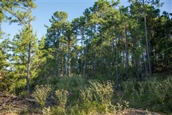 property photo for Stone Creek Phase II Tract 276, 27.74 acres for sale in Latimer County, Oklahoma
