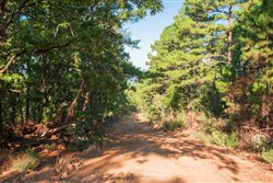 property photo for Stone Creek Phase II Tract 277, 19.17 acres for sale in Latimer County, Oklahoma