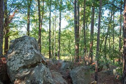 property photo for Stone Creek Phase II Tract 277, 19.17 acres for sale in Latimer County, Oklahoma