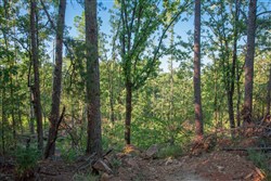property photo for Stone Creek Phase II Tract 277, 19.17 acres for sale in Latimer County, Oklahoma