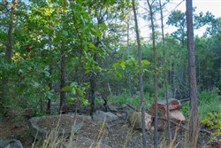 property photo for Stone Creek Phase II Tract 278, 37.65 acres for sale in Latimer County, Oklahoma