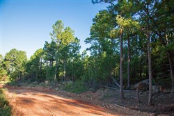 property photo for Stone Creek Phase II Tract 278, 37.65 acres for sale in Latimer County, Oklahoma