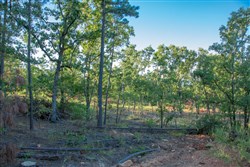 property photo for Stone Creek Phase II Tract 278, 37.65 acres for sale in Latimer County, Oklahoma