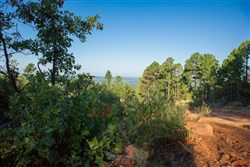 property photo for Stone Creek Phase II Tract 278, 37.65 acres for sale in Latimer County, Oklahoma