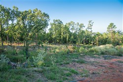 property photo for Stone Creek Phase II Tract 278, 37.65 acres for sale in Latimer County, Oklahoma