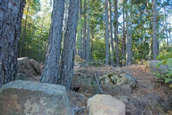 property photo for Stone Creek Phase II Tract 279, 24.14 acres for sale in Latimer County, Oklahoma