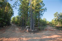 property photo for Stone Creek Phase II Tract 279, 24.14 acres for sale in Latimer County, Oklahoma