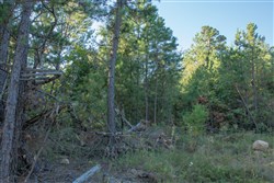 property photo for Stone Creek Phase II Tract 279, 24.14 acres for sale in Latimer County, Oklahoma