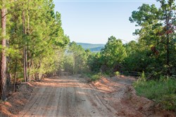 property photo for Stone Creek Phase II Tract 279, 24.14 acres for sale in Latimer County, Oklahoma