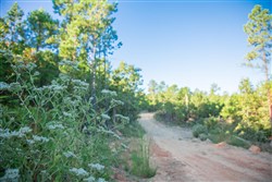 property photo for Stone Creek Phase II Tract 280, 39.9 acres for sale in Latimer County, Oklahoma