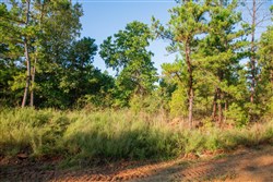 property photo for Stone Creek Phase II Tract 281, 64.58 acres for sale in Latimer County, Oklahoma
