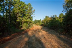 property photo for Stone Creek Phase II Tract 281, 64.58 acres for sale in Latimer County, Oklahoma