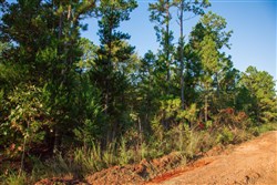 property photo for Stone Creek Phase II Tract 281, 64.58 acres for sale in Latimer County, Oklahoma