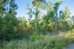 property photo for Stone Creek Phase II Tract 281, 64.58 acres for sale in Latimer County, Oklahoma