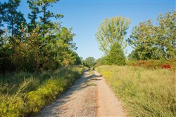 property photo for Stone Creek Phase II Tract 281, 64.58 acres for sale in Latimer County, Oklahoma