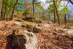 Stone Creek Phase II Tract 93