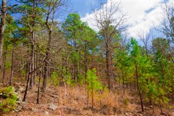 Stone Creek Phase II Tract 93