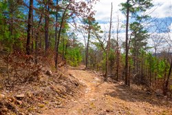 Stone Creek Phase II Tract 93