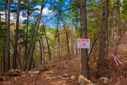 property photo for Stone Creek Phase II Tract 94, 28.26 acres for sale in Latimer County, Oklahoma