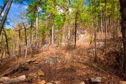 property photo for Stone Creek Phase II Tract 94, 28.26 acres for sale in Latimer County, Oklahoma