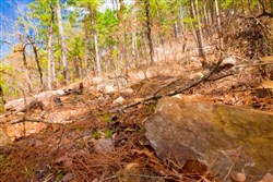 property photo for Stone Creek Phase II Tract 94, 28.26 acres for sale in Latimer County, Oklahoma